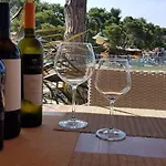 Estrada Mobile Biograd Na Moru