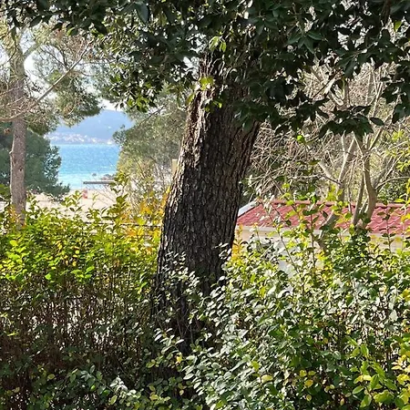 Estrada Mobile Camping 4*