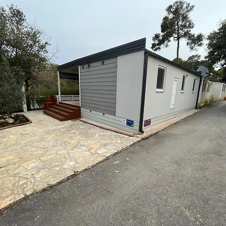 Camping Estrada Mobile