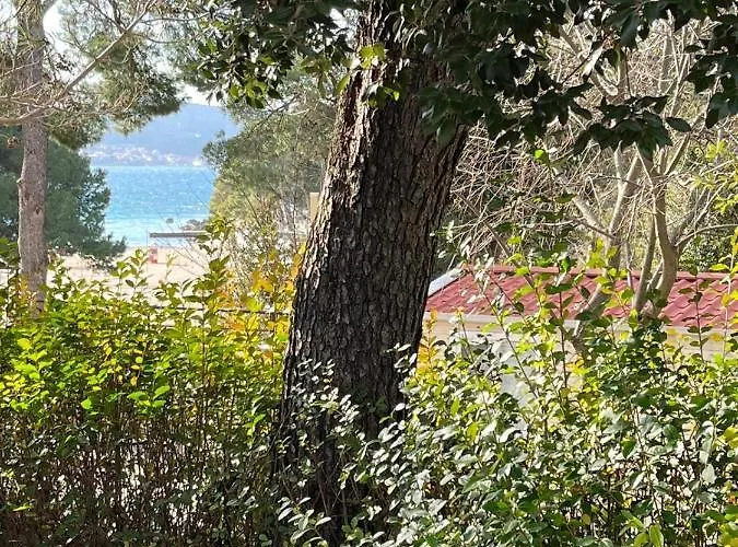 Estrada Mobile Kamp 4*